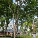 먹적골공원경로당 이미지