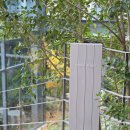 어반플랜트 수영 | 부산감성카페 도심 속 정원 감각적인 브런치 수영맛집 어반플랜트 수영점