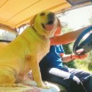 경희농장 이미지