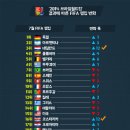 2014년 브라질월드컵 결과 FIFA랭킹 이미지