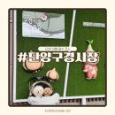 단양농업협동조합(농산물판매) | 단양 애견동반 여행 코스 추천 단양구경시장 먹거리 구경 후기