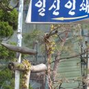 일신인쇄사 - 동구 | 일신인쇄사