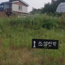 초암민박 이미지