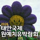 태안 안면도 가볼 만한 곳 2026 태안국제원예치유박람회 후기