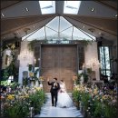 로즈파크 | [내돈내산] 로얄파크컨벤션(파크홀) <오브로즈 본식 스냅&amp;DVD 패키지> 예약 후기 (26년 3월 웨딩/밝은홀)