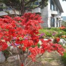 펜션밀물떼 이미지