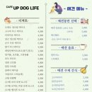 업독라이프 이미지