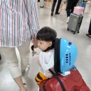 시현의풍차 이미지