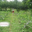 자연농원 이미지