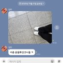 헬로멍멍 | 두 달 만에 쓰는 블로그