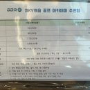 스카이GDR 네이버블로그