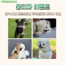 프렌즈유치원 이미지