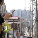 대전 2187 대전일보