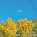 용산서원 | 경주 가을여행 추천 용산서원 그리고 은행나무