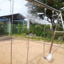 신녕초등학교병설유치원 이미지