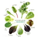 거제대로(고현동) | 거제오리불고기맛집 빛길가 고현점 재방문 후기, 말복에 가즈아