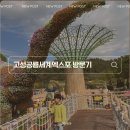 고성탈박물관 | 7살 3살 고성 공룡 엑스포 박물관 주차부터 아쉬웠던 점까지