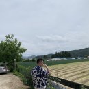 오대산농원식당 | 7월엔 모노그램도 다녀오고 평창도 다녀왔다네에