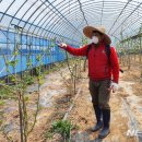 정읍시 농업기술센터 이미지