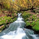 태백종합관광안내소 이미지