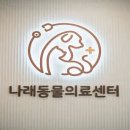 웰빙동물병원 이미지