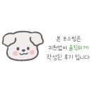 고투베드