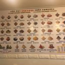 눈내린빙수강대점