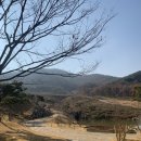 가나안 김밥 이미지