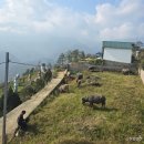 캣 샵 하우스(CAT # HOUSE) | 6일 베트남 하노이 자유여행 4일차 (일정, 경로, 경비, 후기, 꿀팁) - 판시판 / 깟깟마을 / 흐몽 레스토랑