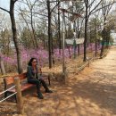 조각공원 이미지