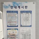 부산중앙중학교 | 우리의 첫 휴양림 기장 달음산 자연휴양림 도깨비방 숙박후기
