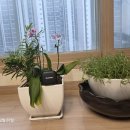 헬스온라인 | 이어폰 하나가 알려준 마음의 여백, 심신통합 헬스케어 온라인 코칭 9일차 후기