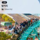호매실벚꽃음식문화거리 | 경주 여행코스 2박 3일 추천 | 황리단길·불국사·경주월드·포항 죽도시장 후기