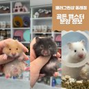 패러그린샵 동래점 이미지