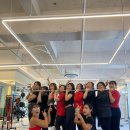 비벨라핏 이미지