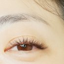엘속눈썹 이미지