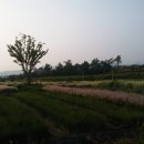 억새정원 이미지
