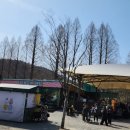 [과천]서울 근교 나들이 서울대공원 동물원 데이트 추천 입장료, 코끼리열차 후기
