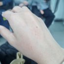 호텔마인(MINE) | 달랏 고달랏 숙소, 출국전 0.5박했던 마인 호텔 달랏 (MINE Hotel DaLat)