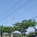 우주라이크커피광주광산점