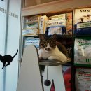 수락 동물병원 이미지