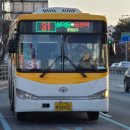 동백운수 이미지