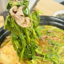 희성프라자 | 월계 맛집 추천 주차 편리한 이마트 옆 등촌샤브칼국수 월계점