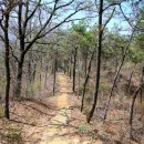 꽃봉산 아래 이미지