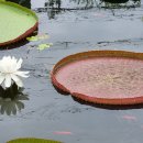 행운쉼터 이미지