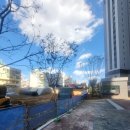 간석초교 이미지