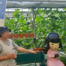 꼬꼬팜농장 이미지