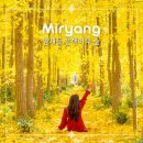 (주) 암새들 | 밀양 여행 암새들 은행나무숲 실시간 주차