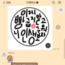 디케이크 D cake