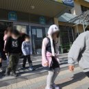 원효초교 이미지